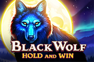 Black Wolf