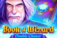 Book Of Wizard