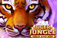 Tiger Jungle