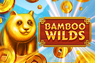 Bamboo Wilds
