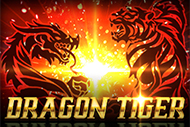 Dragon Tiger