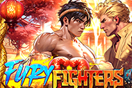 Fury Fighters