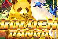 Golden Panda