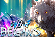 Wolf Begins