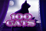 100 Cats