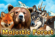 Majestic Forest