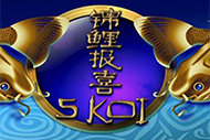 5 Koi