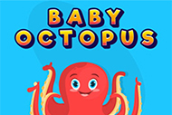 Baby Octopus