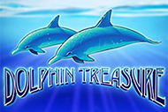 Dolphins Treasure