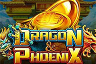 Dragon vs Phoenix