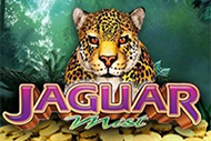 Jaguar Mist