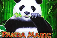 Panda Magic