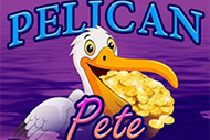 Pelican Pete