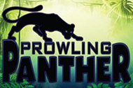 Prowling Panther