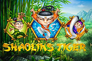 Shaolin Tiger