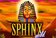 Sphinx Wild