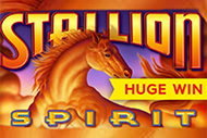 Spirit Stallion