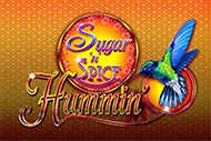 Sugar N Spice Hummin