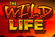 The Wild Life