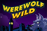 Werewolf Wild