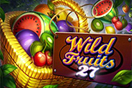 Wild Fruits 27