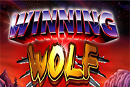 Winning Wolf