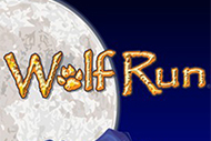 Wolf Run