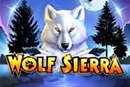 Wolf Sierra