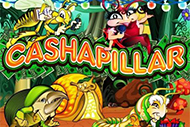 Cashapillar