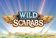 Wild Scarabs