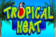 Tropical Heat