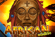 African Wildlife