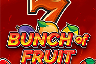 Bunch of Fruit