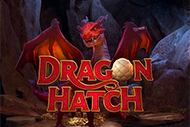 Dragon Hatch