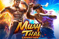 Muay Thai Champion