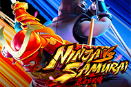 Ninja vs Samurai