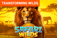 Safari Wilds