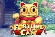 Fortune Cat
