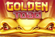 Golden Toad