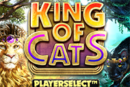 King of Cats