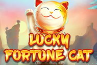 Lucky Fortune Cat