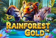 Rainforest Gold
