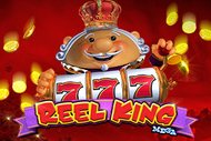 Reel King Mega