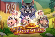 Sheep Gone Wild