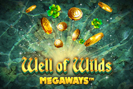 Well of Wilds Megaways™