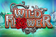 Wild Flower