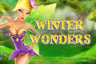 Winter Wonders