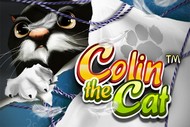 Colin the Cat