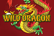 Wild Dragon