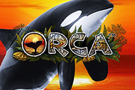 Orca